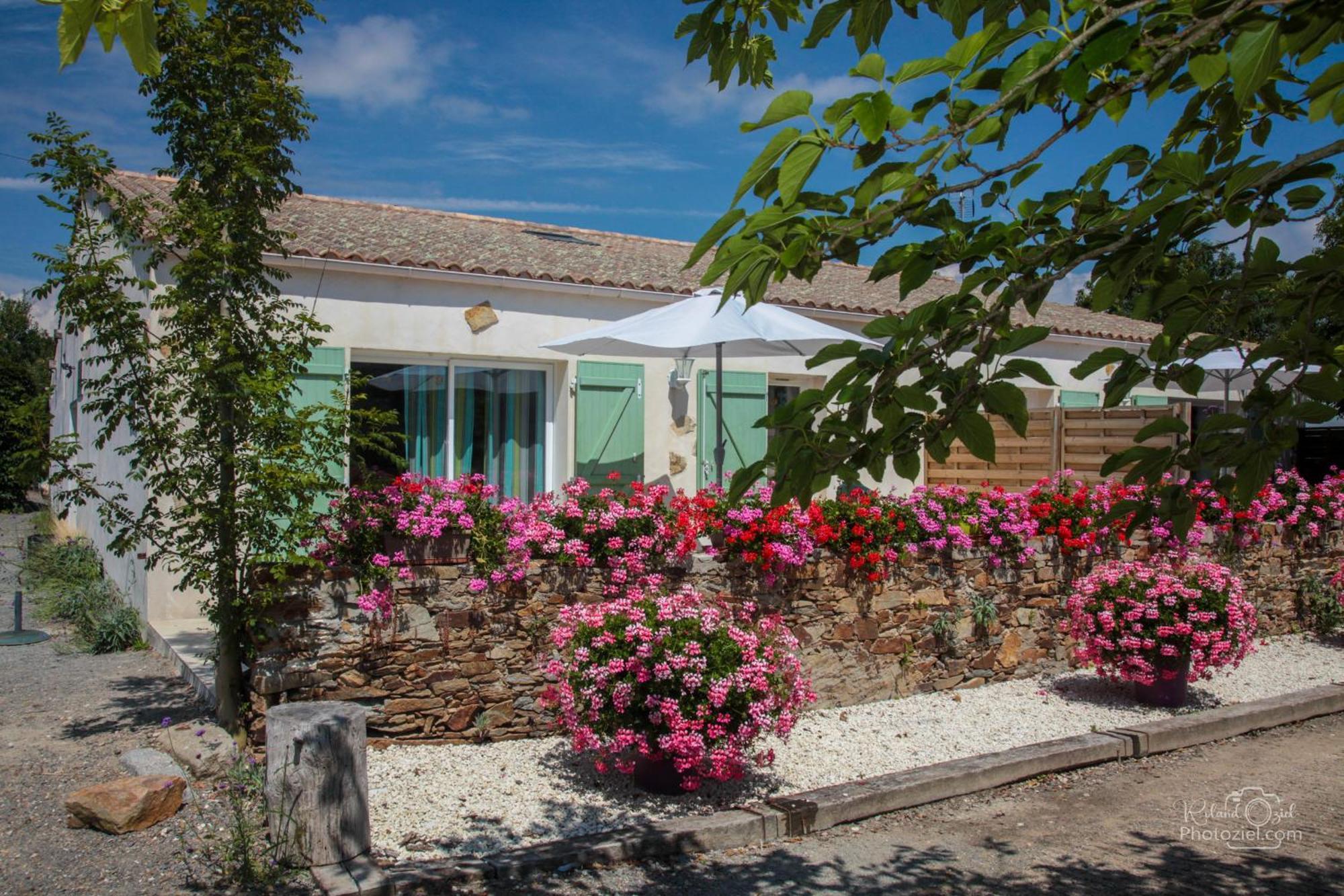 Vila Domaine Les Rousselieres Olonne-sur-Mer Exteriér fotografie
