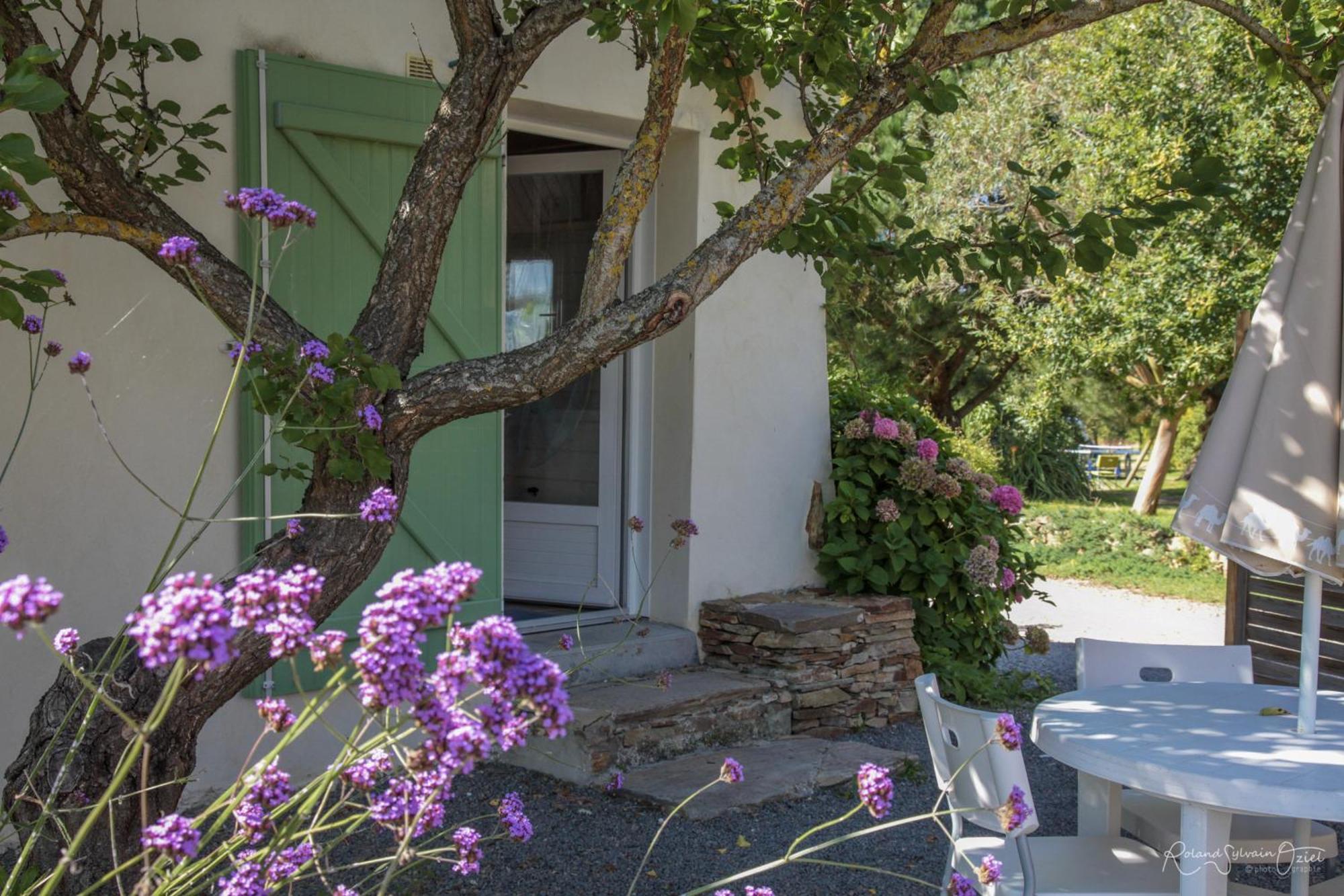 Vila Domaine Les Rousselieres Olonne-sur-Mer Exteriér fotografie